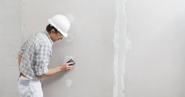 Best Emergency Mold Remediation  in Riesel, TX