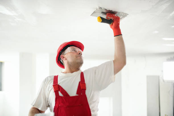Best Asbestos and Lead Testing During Mold Inspection  in Riesel, TX