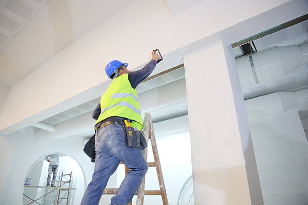 Best Basement Mold Removal  in Riesel, TX